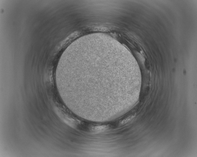 X0000080100312200701051311