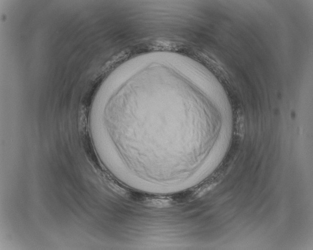 X0000080100318200701051311
