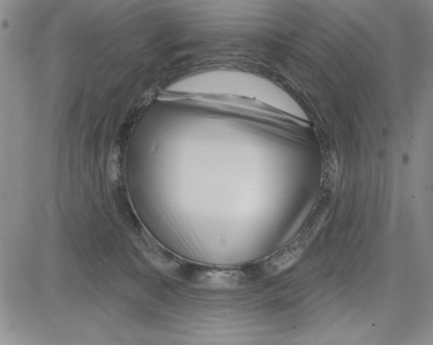 X0000080100323200701051311