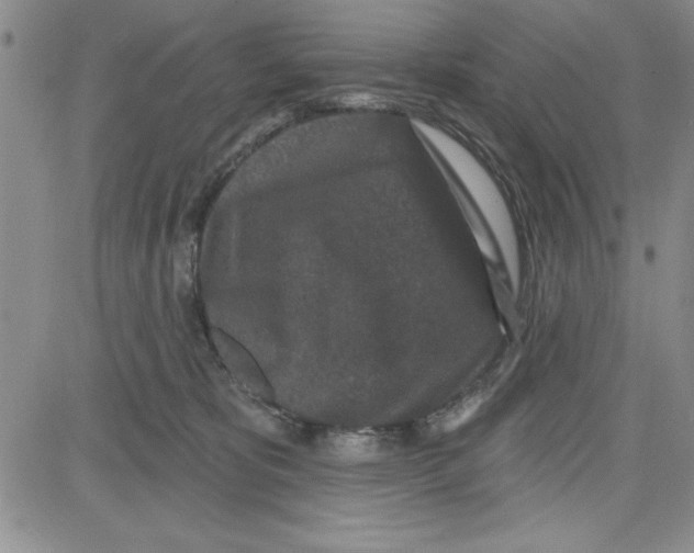 X0000080100325200701051311