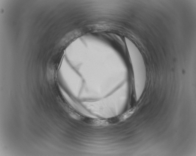 X0000080100333200701051311