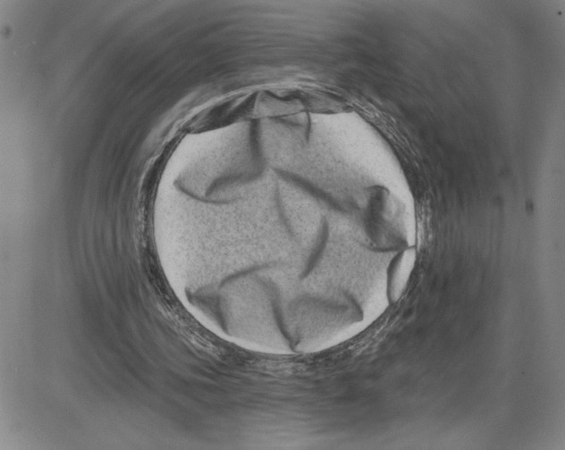X0000080100339200701051310