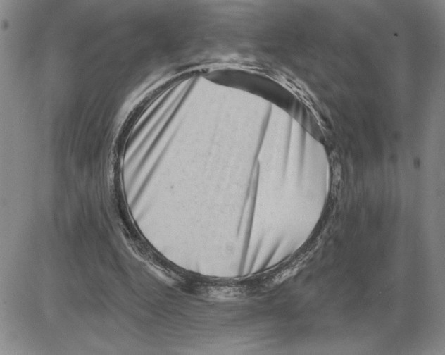X0000080100344200701051310