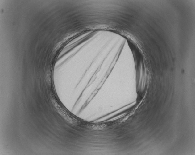 X0000080100345200701051310