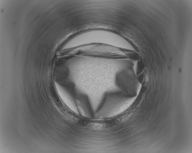 X0000080100352200701051310