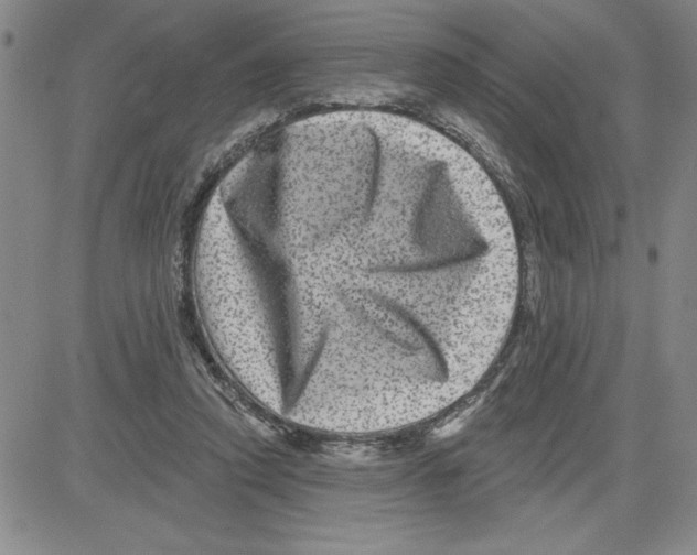 X0000080100354200701051310