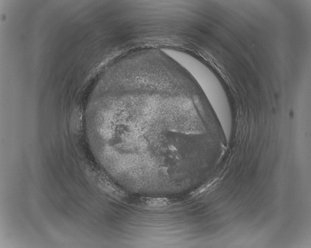 X0000080100355200701051310