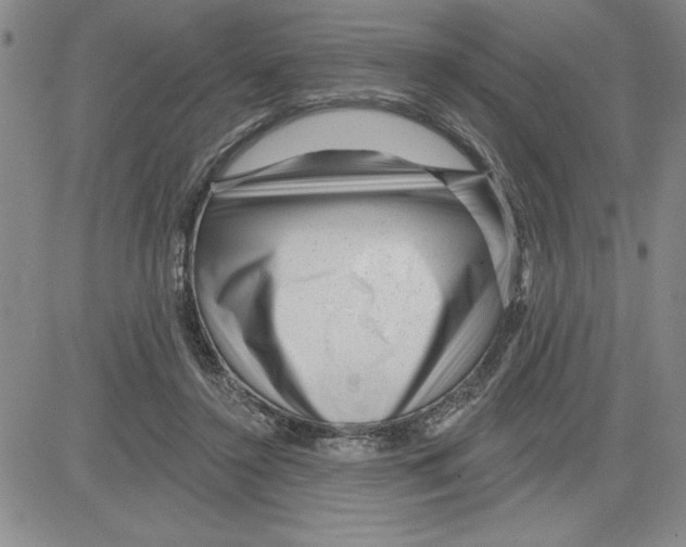 X0000080100356200701051310