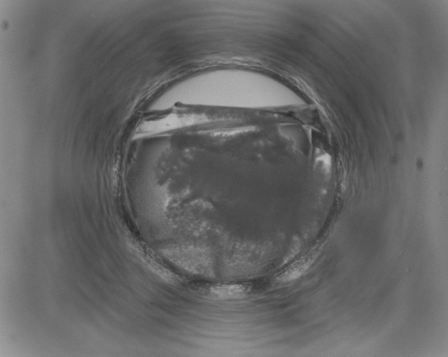 X0000080100357200701051310