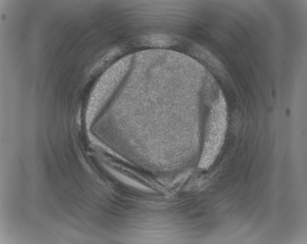 X0000080100358200701051310