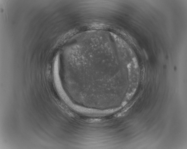 X0000080100361200701051310