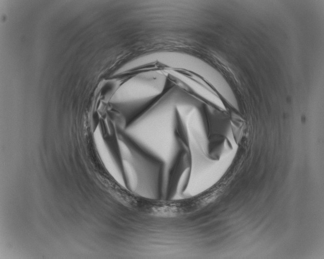 X0000080100362200701051310