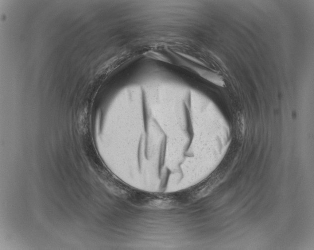 X0000080100364200701051310