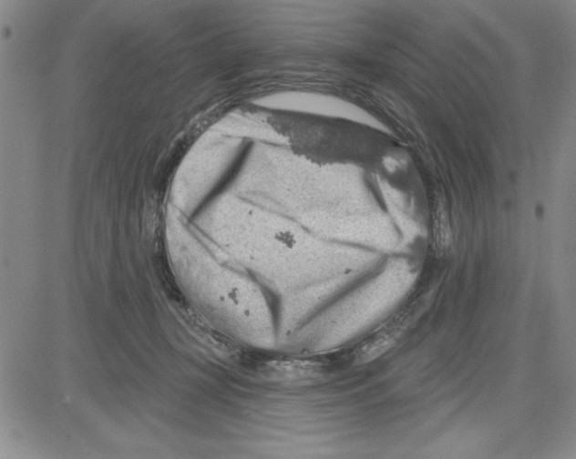 X0000080100367200701051310