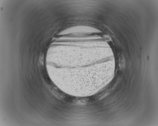 X0000080100368200701051310