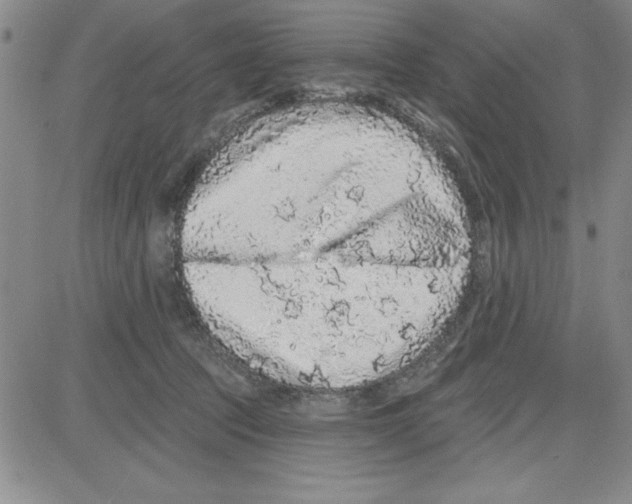 X0000080100369200701051310