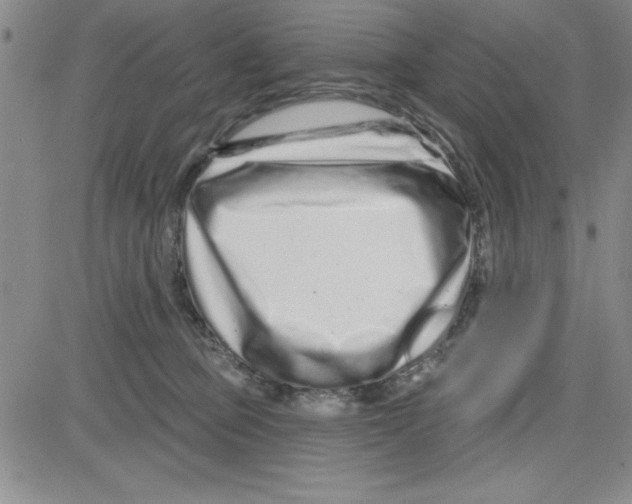 X0000080100373200701051310