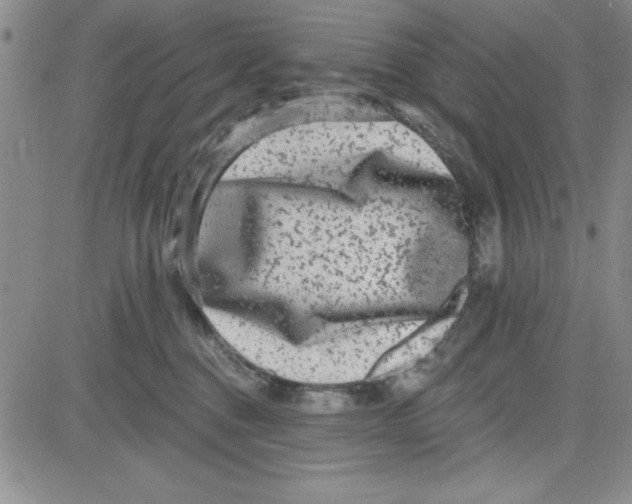 X0000080100376200701051311