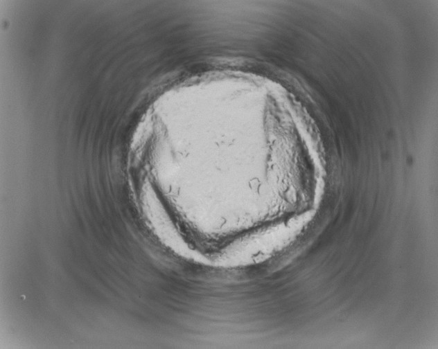 X0000080100377200701051311