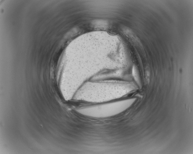 X0000080100379200701051311