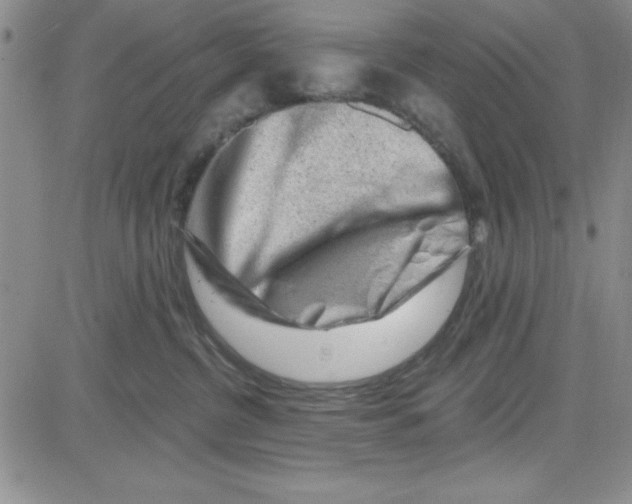 X0000080100380200701051311