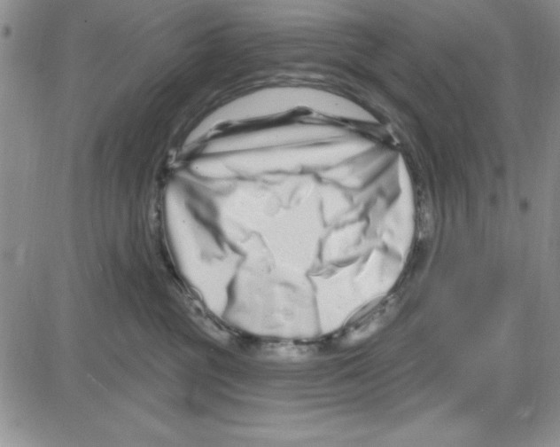 X0000080100381200701051311