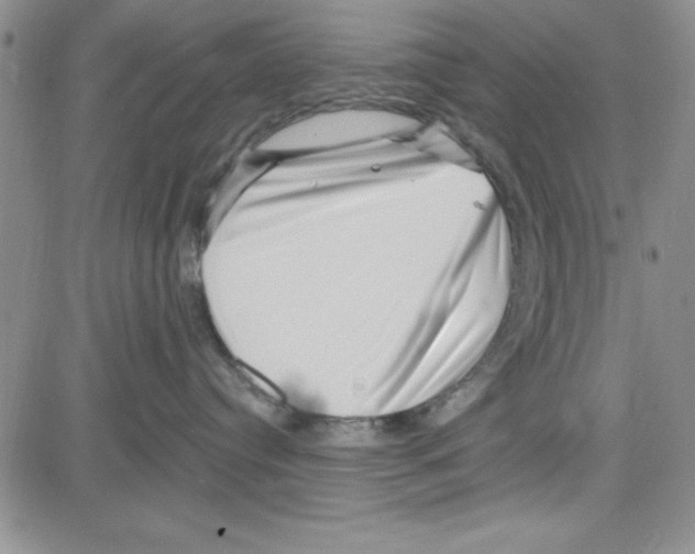 X0000080100384200701051311