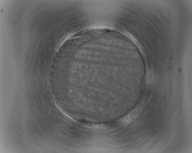 X0000080100385200701051310