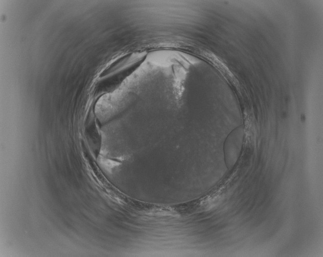 X0000080100386200701051310