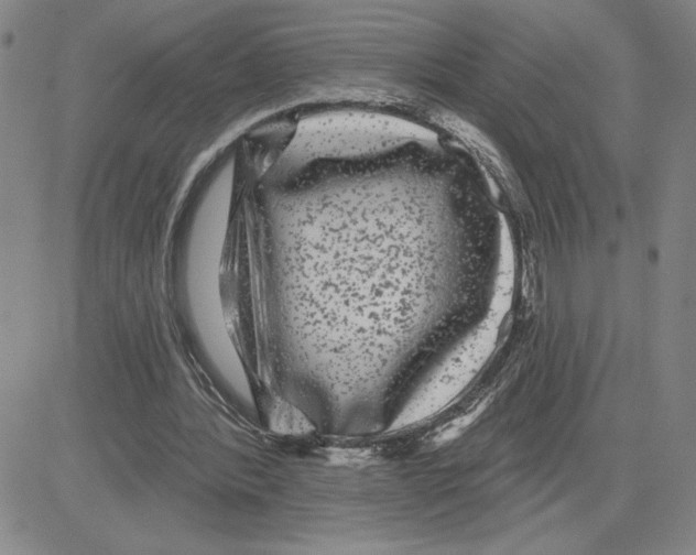X0000080100388200701051310