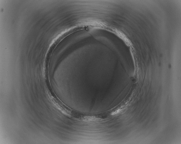 X0000080100391200701051310