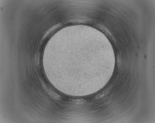 X0000080100396200701051310