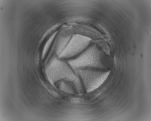 X0000080100400200701051310
