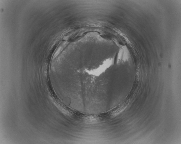 X0000080100402200701051310