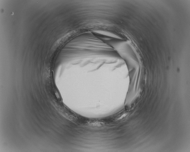 X0000080100407200701051310
