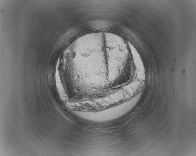 X0000080100408200701051310