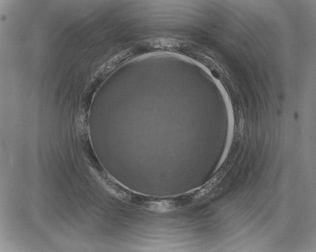 X0000080100411200701051309