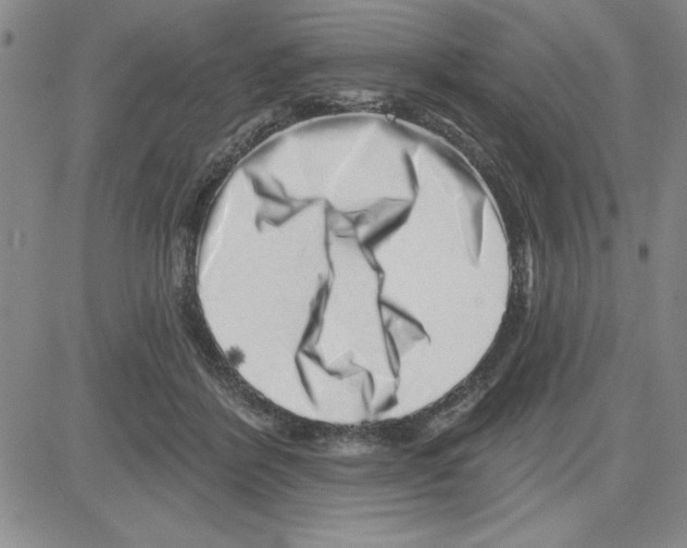 X0000080100412200701051309