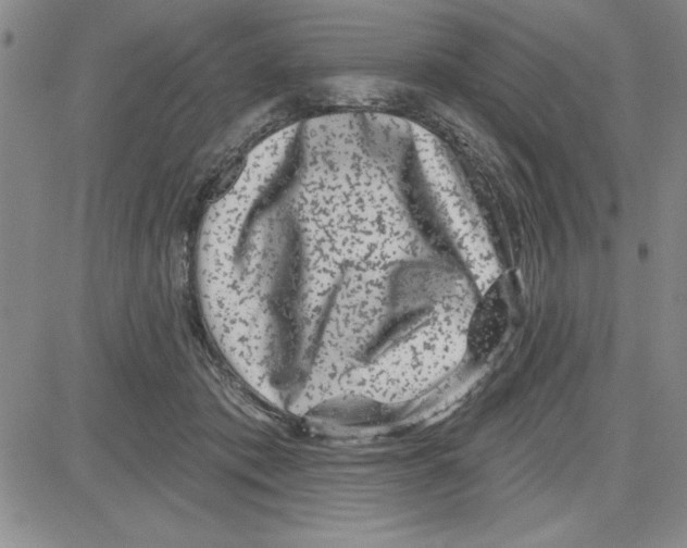 X0000080100413200701051309