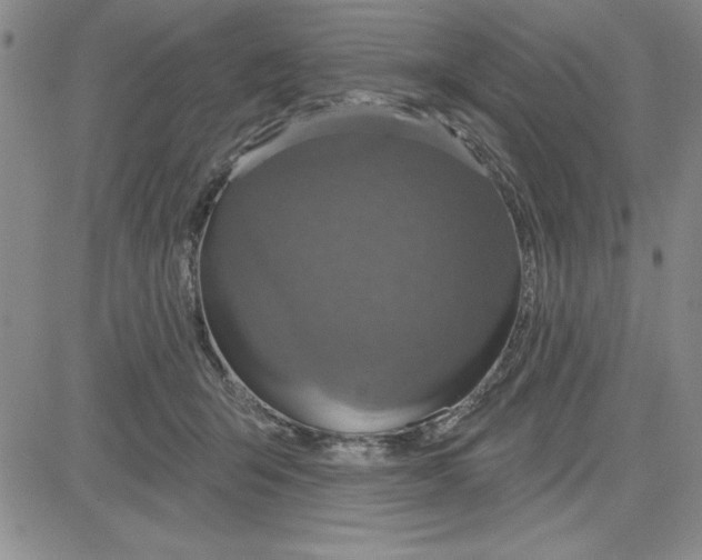 X0000080100415200701051309