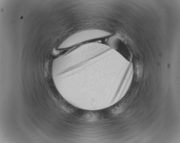 X0000080100416200701051309