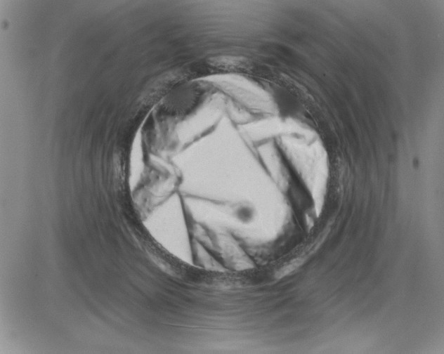 X0000080100420200701051309