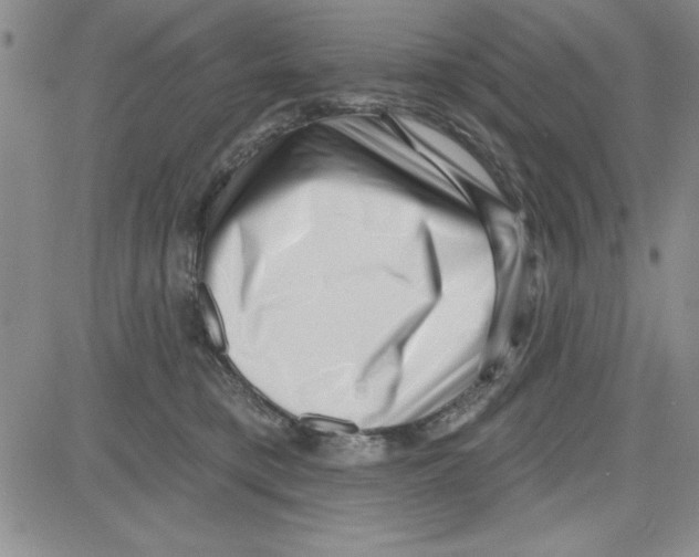 X0000080100421200701051309