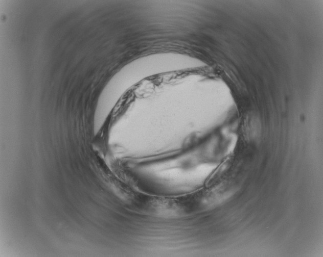 X0000080100424200701051309