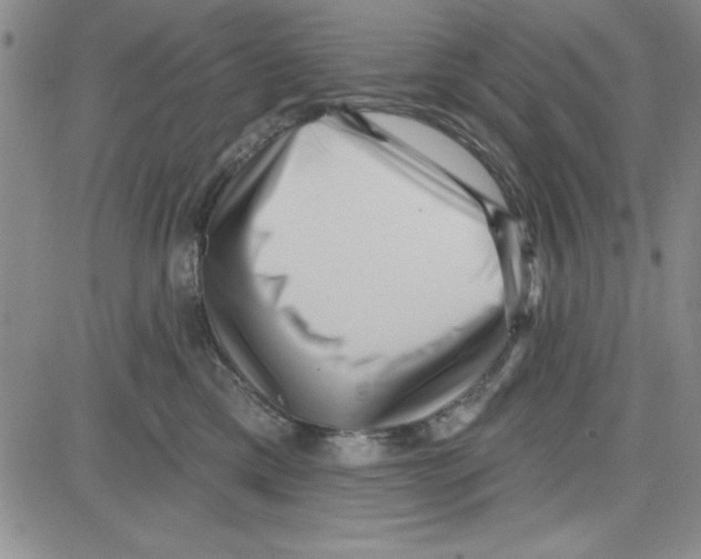 X0000080100425200701051309
