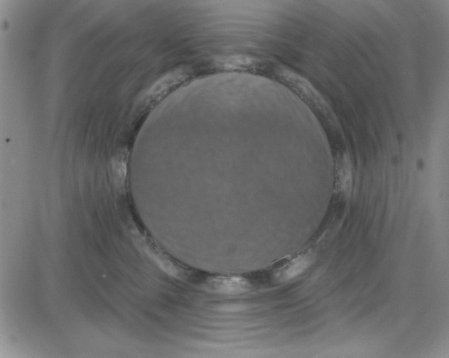 X0000080100427200701051309