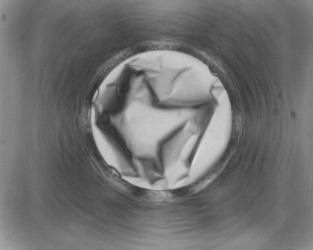 X0000080100429200701051309