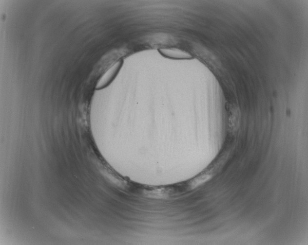 X0000080100430200701051309