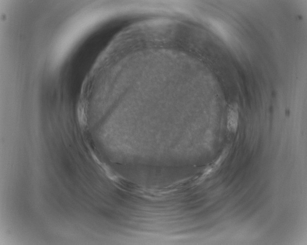 X0000080100431200701051309