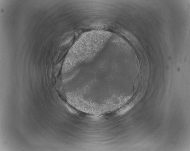 X0000080100432200701051309